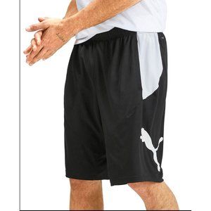 NWT Puma Mens Medium 10 Inch Training Shorts DRYCELL Running Pockets